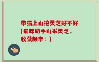 带猫上山挖灵芝好不好(猫咪助手山采灵芝，收获颇丰！)