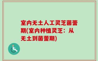室内无土人工灵芝菌蕾期(室内种植灵芝：从无土到菌蕾期)