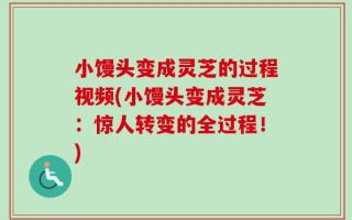 小馒头变成灵芝的过程视频(小馒头变成灵芝：惊人转变的全过程！)