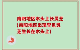 南阳地区木头上长灵芝(南阳地区出现罕见灵芝生长在木头上)