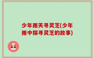 少年雨天寻灵芝(少年雨中探寻灵芝的故事)