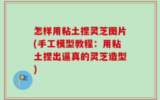 怎样用粘土捏灵芝图片(手工模型教程：用粘土捏出逼真的灵芝造型)