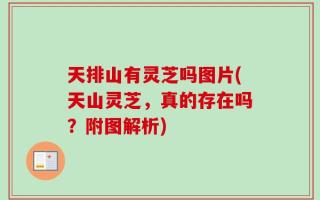天排山有灵芝吗图片(天山灵芝，真的存在吗？附图解析)