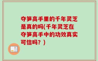 夺笋高手里的千年灵芝是真的吗(千年灵芝在夺笋高手中的功效真实可信吗？)