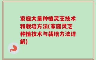 家庭大量种植灵芝技术和栽培方法(家庭灵芝种植技术与栽培方法详解)