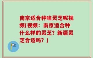 南京适合种啥灵芝呢视频(视频：南京适合种什么样的灵芝？新疆灵芝合适吗？)