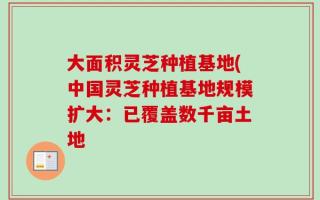 大面积灵芝种植基地(中国灵芝种植基地规模扩大：已覆盖数千亩土地