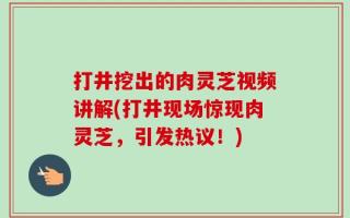 打井挖出的肉灵芝视频讲解(打井现场惊现肉灵芝，引发热议！)