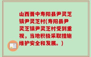 山西晋中寿阳县尹灵芝镇尹灵芝村(寿阳县尹灵芝镇尹灵芝村受到重视，当地积极采取措施维护安全和发展。)