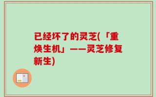 已经坏了的灵芝(「重焕生机」——灵芝修复新生)