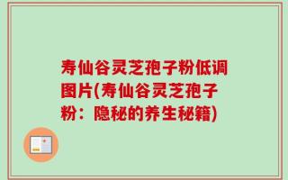 寿仙谷灵芝孢子粉低调图片(寿仙谷灵芝孢子粉：隐秘的养生秘籍)