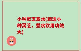 小种灵芝煮水(精选小种灵芝，煮水饮用功效大)