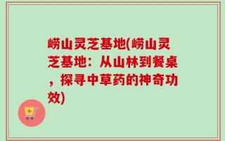 崂山灵芝基地(崂山灵芝基地：从山林到餐桌，探寻中草药的神奇功效)