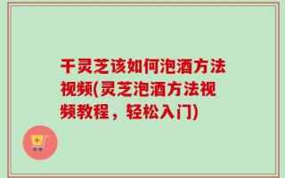 干灵芝该如何泡酒方法视频(灵芝泡酒方法视频教程，轻松入门)