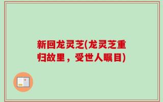 新回龙灵芝(龙灵芝重归故里，受世人瞩目)