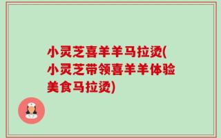 小灵芝喜羊羊马拉烫(小灵芝带领喜羊羊体验美食马拉烫)