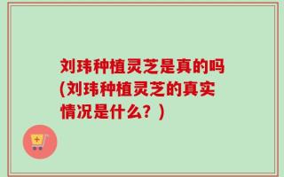 刘玮种植灵芝是真的吗(刘玮种植灵芝的真实情况是什么？)
