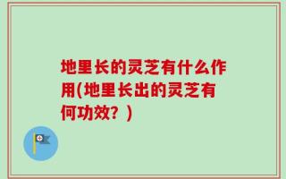 地里长的灵芝有什么作用(地里长出的灵芝有何功效？)