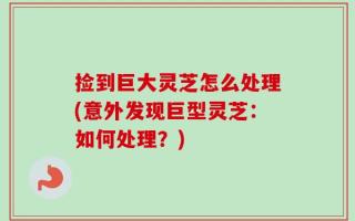 捡到巨大灵芝怎么处理(意外发现巨型灵芝：如何处理？)