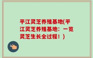 平江灵芝养殖基地(平江灵芝养殖基地：一览灵芝生长全过程！)