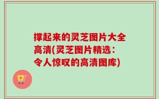 撑起来的灵芝图片大全高清(灵芝图片精选：令人惊叹的高清图库)