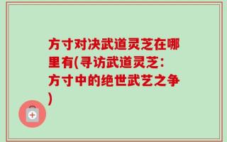 方寸对决武道灵芝在哪里有(寻访武道灵芝：方寸中的绝世武艺之争)
