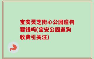 宝安灵芝街心公园遛狗要钱吗(宝安公园遛狗收费引关注)