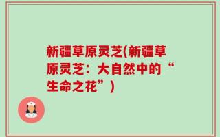 新疆草原灵芝(新疆草原灵芝：大自然中的“生命之花”)