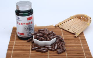 破壁灵芝孢子粉是什么味道的?会很苦吗? 破壁灵芝孢子粉是什么味道的?会很苦吗?