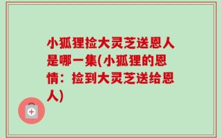 小狐狸捡大灵芝送恩人是哪一集(小狐狸的恩情：捡到大灵芝送给恩人)