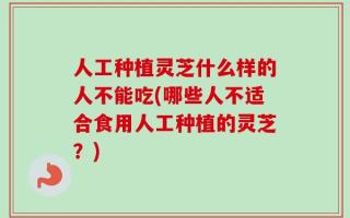 人工种植灵芝什么样的人不能吃(哪些人不适合食用人工种植的灵芝？)