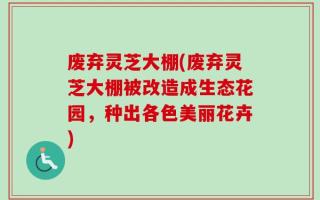 废弃灵芝大棚(废弃灵芝大棚被改造成生态花园，种出各色美丽花卉)