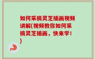 如何采摘灵芝插画视频讲解(视频教你如何采摘灵芝插画，快来学！)