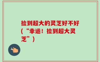 捡到超大的灵芝好不好(“幸运！捡到超大灵芝”)