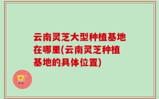 云南灵芝大型种植基地在哪里(云南灵芝种植基地的具体位置)