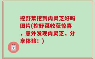 挖野菜挖到肉灵芝好吗图片(挖野菜收获惊喜，意外发现肉灵芝，分享体验！)