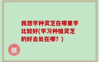 我想学种灵芝在哪里学比较好(学习种植灵芝的好去处在哪？)