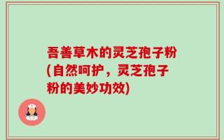 吾善草木的灵芝孢子粉(自然呵护，灵芝孢子粉的美妙功效)