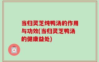 当归灵芝炖鸭汤的作用与功效(当归灵芝鸭汤的健康益处)