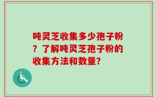 吨灵芝收集多少孢子粉？了解吨灵芝孢子粉的收集方法和数量？