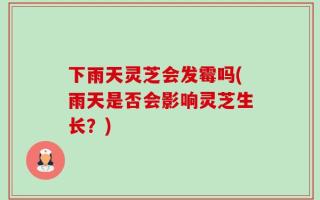 下雨天灵芝会发霉吗(雨天是否会影响灵芝生长？)