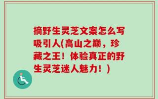 摘野生灵芝文案怎么写吸引人(高山之巅，珍藏之王！体验真正的野生灵芝迷人魅力！)