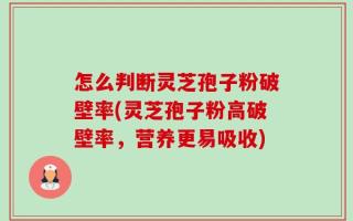 怎么判断灵芝孢子粉破壁率(灵芝孢子粉高破壁率，营养更易吸收)