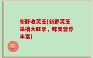 新野收灵芝(新野灵芝采摘大旺季，味美营养丰富)