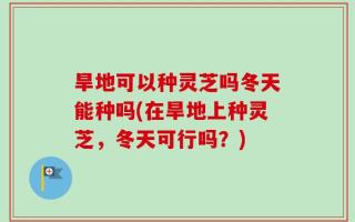 旱地可以种灵芝吗冬天能种吗(在旱地上种灵芝，冬天可行吗？)