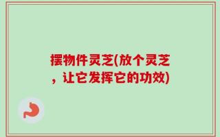 摆物件灵芝(放个灵芝，让它发挥它的功效)