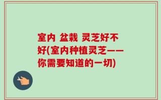 室内 盆栽 灵芝好不好(室内种植灵芝——你需要知道的一切)