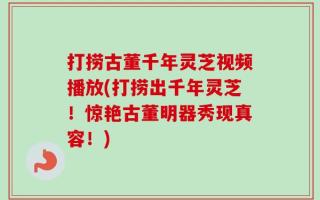 打捞古董千年灵芝视频播放(打捞出千年灵芝！惊艳古董明器秀现真容！)