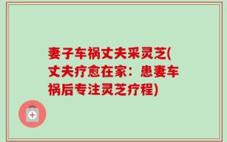 妻子车祸丈夫采灵芝(丈夫疗愈在家：患妻车祸后专注灵芝疗程)