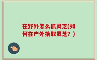 在野外怎么抓灵芝(如何在户外拾取灵芝？)